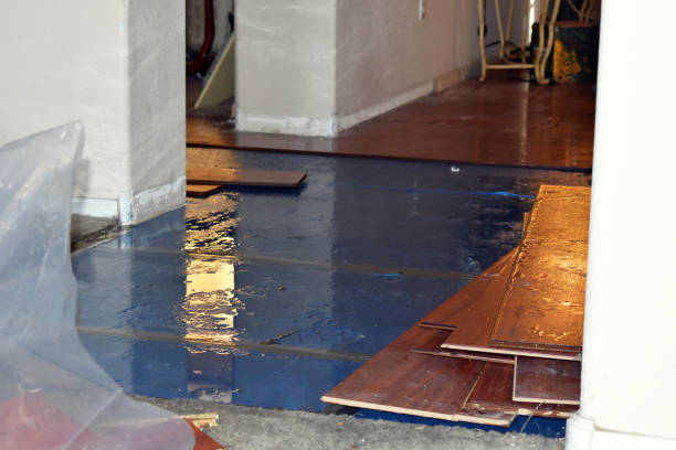 Professional Sewage Cleanup technician working in Francis Creek, WI